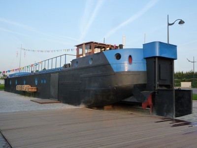 P1120805CHAT.jpg (107.35 Kio) Vu 6802 fois P1120805CHAT.jpg