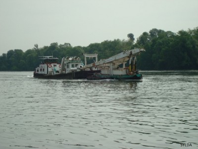 DSC02959.JPG (130.45 Kio) Vu 3909 fois DSC02959.JPG