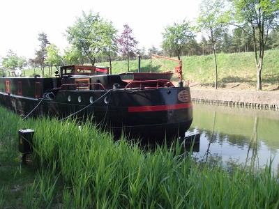 2011_05052010_12050105.JPG