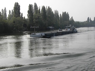 DSCN2917.JPG (161.62 Kio) Vu 4871 fois DSCN2917.JPG