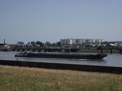 2011_05212010_12050039.JPG