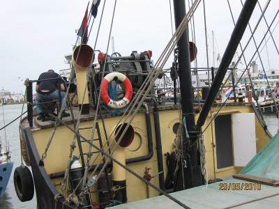 IMG_1190.JPG (219.73 Kio) Vu 3642 fois IMG_1190.JPG