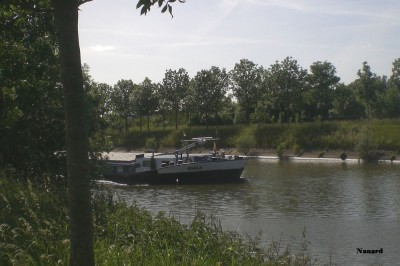 CIMG8980.JPG