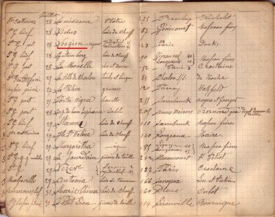 VOSGIEN - carnet kimiol (dét).jpg