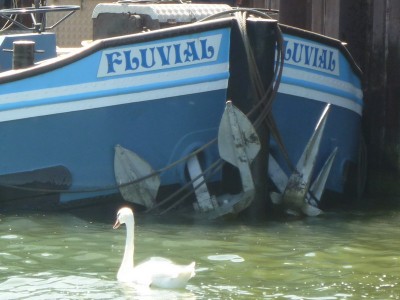 P1130499FLUVIAL.jpg