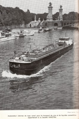 VINOTRA 9.jpg