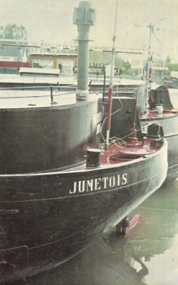 MRB - Jumetois - 4 [vagus].jpg