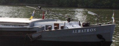 Albatros [1024x768].jpg
