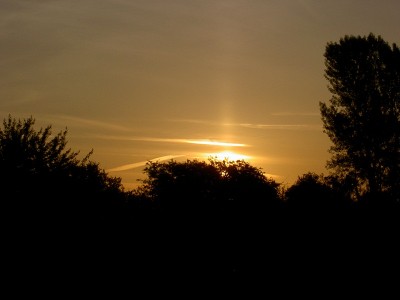 001.JPG (99.26 Kio) Vu 8082 fois 001.JPG