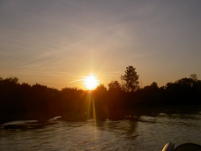 002.JPG (120.71 Kio) Vu 8083 fois 002.JPG