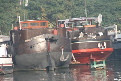 IMG_8133.JPG (91.45 Kio) Vu 8622 fois IMG_8133.JPG