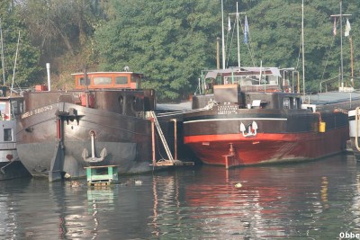 IMG_8136.JPG (110.13 Kio) Vu 8622 fois IMG_8136.JPG