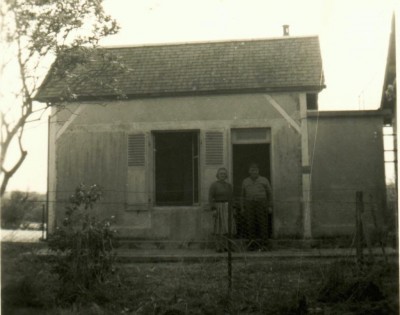 la puce 1.jpg (70.86 Kio) Vu 3440 fois la puce 1.jpg