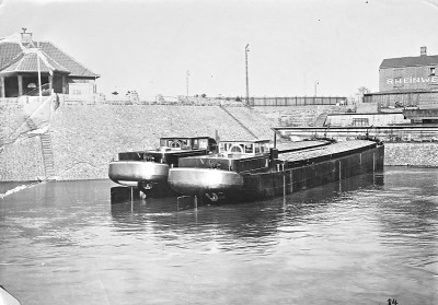 Ourson & Hove01.jpg