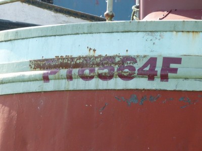 P1000323OSEBUD.jpg