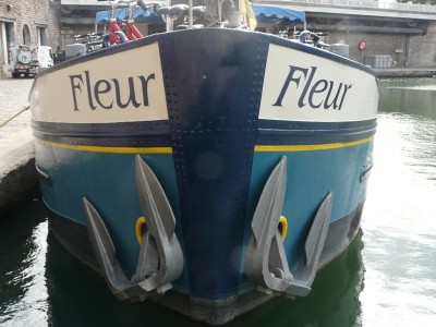 fleur-nez.JPG