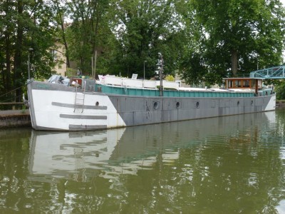 P1000137 (vagus).JPG