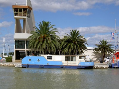 chouetteepervier.resized.JPG