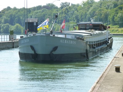 P1010709ALBATROS.jpg