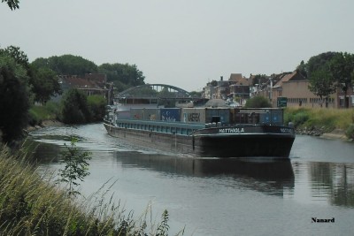 SAM_0206.JPG (106.76 Kio) Vu 21533 fois SAM_0206.JPG