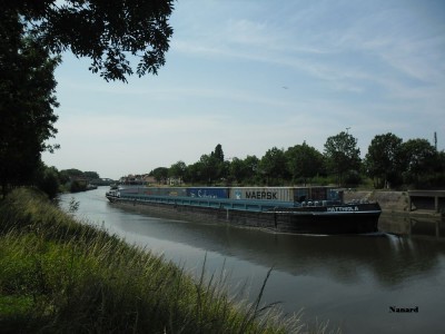 SAM_0207.JPG (117.83 Kio) Vu 21533 fois SAM_0207.JPG