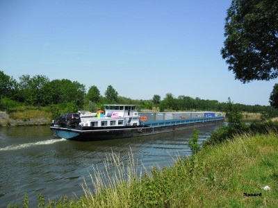 SAM_0210.JPG (165.2 Kio) Vu 21533 fois SAM_0210.JPG