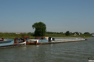 Saturnin Fidelis 09.JPG (56.25 Kio) Vu 4983 fois Saturnin Fidelis 09.JPG