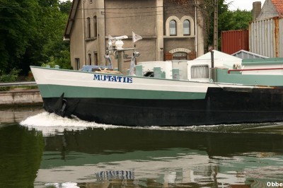 Mutatie 03.JPG (89.84 Kio) Vu 4376 fois Mutatie 03.JPG