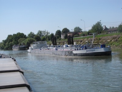 bossuit.jpg (136.61 Kio) Vu 6206 fois bossuit.jpg