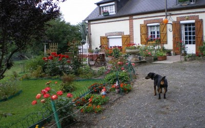 016.JPG (167.22 Kio) Vu 9684 fois 016.JPG