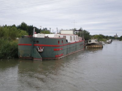 IMGP4726 [800x600].JPG