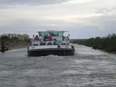 IMGP4710 [800x600].JPG