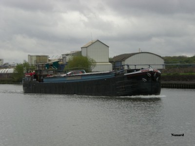 CIMG2939.JPG