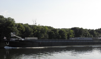 aconit1.jpg
