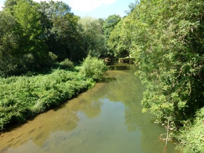 Condes (15).JPG (352.86 Kio) Vu 5031 fois Condes (15).JPG