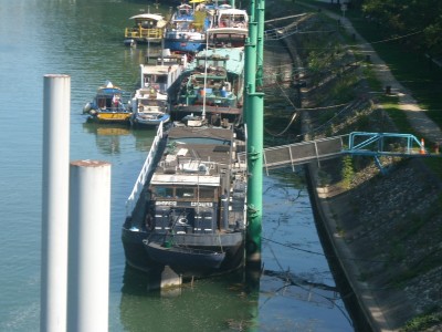 DSCN0001 (3).JPG (233.41 Kio) Vu 2787 fois DSCN0001 (3).JPG