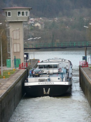 P1000620.jpg