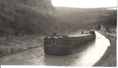 angelo 5.jpg (47.65 Kio) Vu 8561 fois angelo 5.jpg