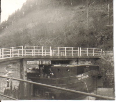 angelo.jpg (51.36 Kio) Vu 8561 fois angelo.jpg