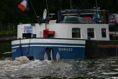 Dorado 15.JPG