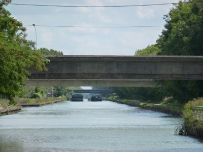 P1000753 (vagus).JPG (179.74 Kio) Vu 2490 fois P1000753 (vagus).JPG