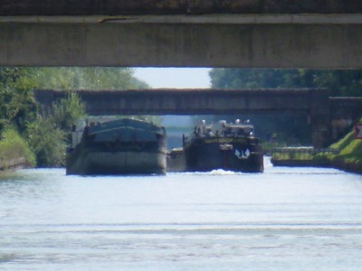 P1000755 (vagus).JPG (141.09 Kio) Vu 2493 fois P1000755 (vagus).JPG