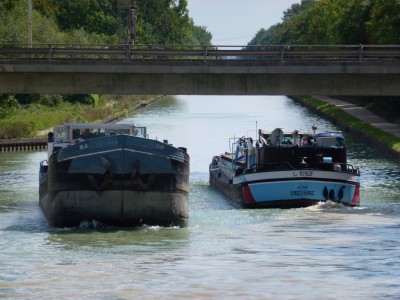 P1000772 (vagus).JPG (206.55 Kio) Vu 2493 fois P1000772 (vagus).JPG