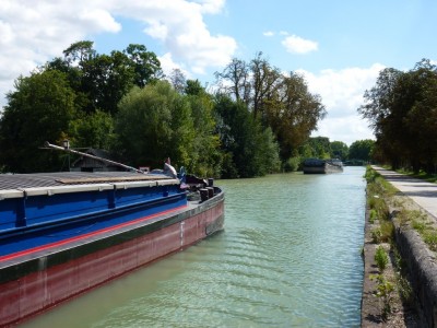 P1000801 (vagus).JPG (247.8 Kio) Vu 2490 fois P1000801 (vagus).JPG