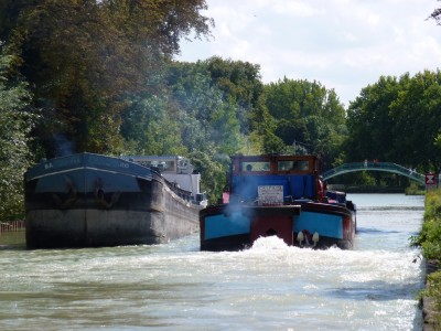 P1000807 (vagus).JPG (247.81 Kio) Vu 2493 fois P1000807 (vagus).JPG