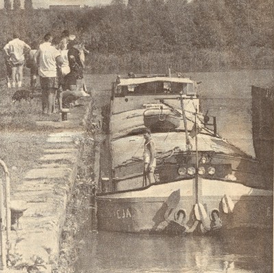 EJA - 3 (vagus).jpg