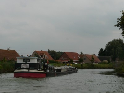 cotre-ar.JPG