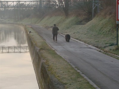 HPIM0519.JPG (79.64 Kio) Vu 3546 fois HPIM0519.JPG