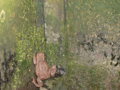 HPIM0699.JPG (95.33 Kio) Vu 2653 fois HPIM0699.JPG