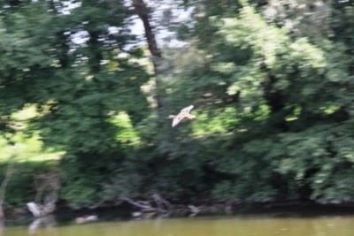 010.JPG (100.47 Kio) Vu 2959 fois 010.JPG